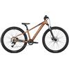 Scott Mtb Bambino Roxter 600 26" Marrone, Taglia: 26, marrone