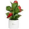 Pianta Media Peperoncino Fiori e Frutta Gli Alberelli in Ceramica di Capodimonte
