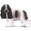 CollectA English Cocker Spaniel by Collecta, M