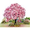 CUT POPUP.COM CUTPOPUP Magnolia con Coppia di Ghiandaie Azzurre - 3D Biglietto Anniversario, Biglietto San Valentino, Biglietto Auguri Matrimonio, Biglietto Auguri Compleanno (Magnolia) US8-LO171IT