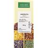 Solimè ANGELICA RX TT 100G