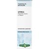 Erba Vita SPIREA ULMARIA TINTURA IDROALCOLICA 50 ML EBV