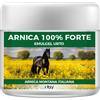 INTALY LAB Srl Emulgel Arnica 100% Forte lenitivo e rinfrescante, 500ml