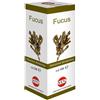 Kos FUCUS SOLUZIONE IDROALCOLICA 100 ML