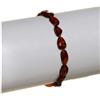 Alma Briosa ALMABABY AMBRA BRACC COGNAC