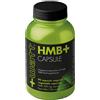 Watt HMB+ 90 CAPSULE
