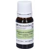Herbalgem PRANAROM ORIGANO COMPATTO OLIO ESSENZIALE BIO 10 ML