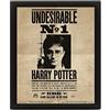 Pyramid International - Harry Potter/Sirius 3D lenticolare poster, nero, 10 x 8