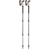 LEKI Black Series Carbon Bastoncini