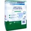 Dermacotone Pannoloni muntandina con strappo XL 12 pezzi