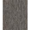 Rasch 554076 - Carta da parati in tessuto non tessuto grigio con motivo betulla della collezione Composition-10,05 0,53 m (L x L), colore: Nero
