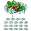 Relaxdays Set da 20 Anelli di Supporto per Fragole, Sostegno in Plastica per Piante da Orto, Rete Antimuffa, Verde, 10 x 30 cm