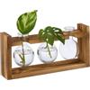 Relaxdays Vasi Vetro Decorativi, Set 3 Vasetti per Fiori ad Ampolla Rotonda, 13x28x6,5 cm, su Supporto in Legno Naturale
