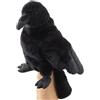 Uni-Toys - Manichino corvo con testa girevole - 31 cm (altezza) - Bambola di peluche, uccello - peluche