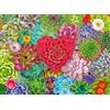 Ravensburger Succulent Love 500pc
