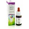 Guna - Chicory Guna Gocce 10ml