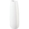 ASA - Vaso Ease
