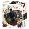 Harry Potter Puzzle lenticular Harry Potter Howgarts Express 500 piezas