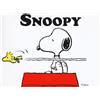 LIBRO SNOOPY - CHARLES M. SCHULZ