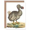 Fine Art Prints Bird Dodo - Biglietto d'auguri con illustrazione vintage con busta all'interno di alta qualità