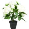 Flair Flower Cespuglio di peonie artificiali in vaso, 40 cm, peonia, peonia, decorazione per matrimoni