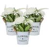Relaxdays Fiori Finti, 3 Mazzi in Vaso Artificiali, Pianta Decorativa in Plastica, Centrotavola, HxD: 21x18 cm, Bianco