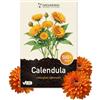 Grounding - Semi di Calendula mix arancio e giallo, 500+ semi, altezza 30 cm. La Calendula officinalis è perfetta per balconi, aiuole e bordure - Semina facile - Qualità Europea