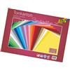 Folia 612235/25 99 - Cartoncino TON 35 x 50 cm, 220 G/mq, 25 Fogli Assortiti in 25 Colori