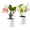 PASCH® Fiori artificiali di magnolia in vaso (21 cm): set da 2 fiori di magnolia artificiali, fiori artificiali realistici, fiori artificiali in vaso, magnolie artificiali eleganti (Bianco-Rosa)