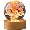 luolety Lampada da notte con sfera di cristallo a forma di fiore, lampada a sfera in vetro da 6 cm con base in legno con luce a LED per campioni di fiori con ricarica USB (margherita rossa)
