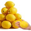 Esshogo 10 pezzi di limoni artificiali, simulazione realistica di limone giallo, limone finto frutto realistico, in plastica, giallo limone, decorazione artificiale finto limone
