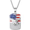 Flongo Collana con ciondolo a forma di bandiera americana, in acciaio inox, oro, argento, con bandiera americana, con zirconi americani, girocollo, medaglia, gioiello per uomo e donna, regalo per