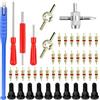 FAREASTSHOP 47 Pezzi Kit Rimozione Valvole Pneumatici,Attrezzi Rimozione della valvola Pneumatici,Utensili Valvole Pneumatici Set,Strumento Riparazione in Acciaio,Svita Valvole Pneumatici