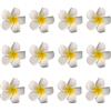 Bamboopack 12 fermagli per capelli in schiuma con fiore di plumeria, colore bianco hawaiano, plumeria, fermagli per capelli per capelli da sposa, accessori per capelli da sposa, per feste tropicali in spiaggia