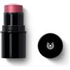 Dr. Hauschka Lip to Cheek 03 Rosewood 6.1g - Fard Stick