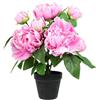 Flair Flower Cespuglio di peonie artificiali in vaso, 40 cm, peonia, peonia, decorazione per matrimoni