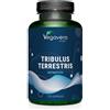 Vegavero Tribulus Terrestris Vegavero | 90% di Saponine | 100% Naturale e Senza Additivi | No OGM e Testato in Laboratorio | 120 capsule | Vegan