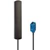 Panlouting Universale Antenna per Auto con Connettore Fakra Z | Antenna Bluetooth WiFi Cellulare 4G LTE | 6dBi 2,4GHz | Amplificazione del Segnale per Carplay | 1,5 Metri