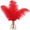 DCRWVCTON 20 piume di struzzo naturale artigianale 10-12 pollici (25-30 cm) piuma per centri di nozze, decorazione della casa, cucito, artigianato, costumi, festa a tema, decorazione di Natale (25-30 cm, rosso)