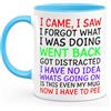 Gift Island Tazza con scritta I Came I Saw I Forgot - ADHD tazza divertente regalo sciocco per donne per compleanno - Natale - mamma, amica, sorella e collega Secret Santa Work - Citazioni - 325 ml