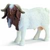 SCHLEICH Boer He-Capra (Billy) - Statuetta Animale - Naturale