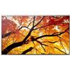 Sharp Display Solutions PROMOZIONE Sharp Display Solutions MULTISYNC M502 Cod. 60006054