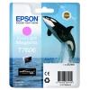 Originale Epson T7606