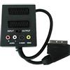 PremiumCord Adattatore Scart/m-2Xcart + 3 x RCA con Interruttore in/out