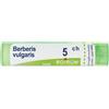 Berberis vulgar*5ch 80gr 4g bo - - 046235040