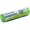 BOIRON Gelsemium sempervirens*200ch bo - BOIRON - 046433304