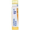 Lachesis mutus 15ch gr bo - - 800023475
