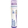 Phytolacca decand*30ch 80gr bo - - 045879297