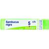 Sambucus nigra*5ch 80gr 4g bo - - 046099622
