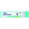 Ruta graveolens*6ch 80gr 4g bo - - 046363038